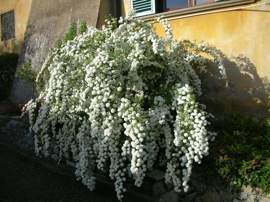 Locanda Giolica Prato  Luaran gambar